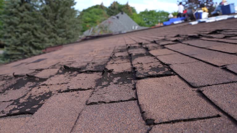4 Ply Roofing